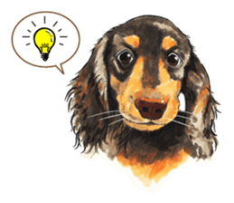 Team Dachs Dachshund! sticker #9829006