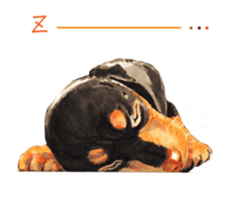 Team Dachs Dachshund! sticker #9829007