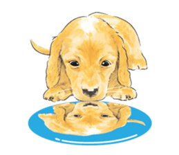 Team Dachs Dachshund! sticker #9829008