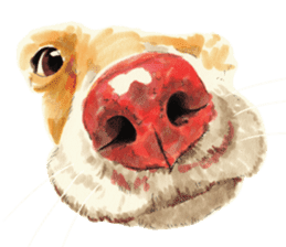 Team Dachs Dachshund! sticker #9829009