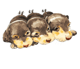 Team Dachs Dachshund! sticker #9829011