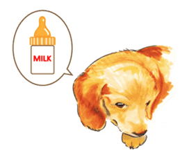 Team Dachs Dachshund! sticker #9829012