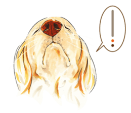 Team Dachs Dachshund! sticker #9829013