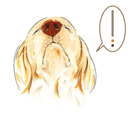 Team Dachs Dachshund! sticker #9829013