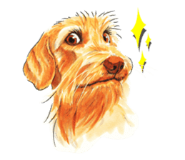 Team Dachs Dachshund! sticker #9829016