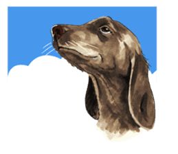 Team Dachs Dachshund! sticker #9829017
