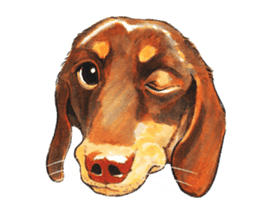 Team Dachs Dachshund! sticker #9829020