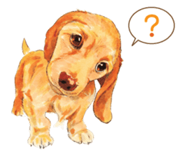 Team Dachs Dachshund! sticker #9829024