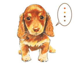 Team Dachs Dachshund! sticker #9829028