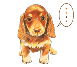 Team Dachs Dachshund! sticker #9829028