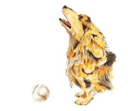 Team Dachs Dachshund! sticker #9829030