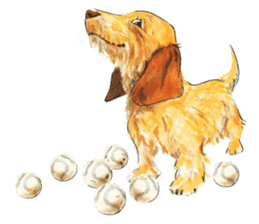 Team Dachs Dachshund! sticker #9829033