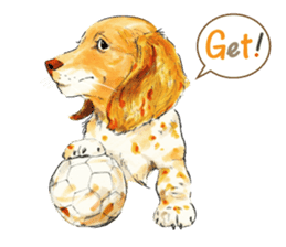 Team Dachs Dachshund! sticker #9829034