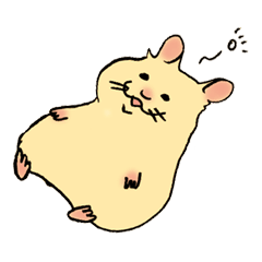 hamster Kimi