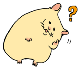 hamster Kimi sticker #9831805