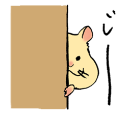 hamster Kimi sticker #9831814