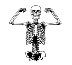 just bones6 sticker #9833640