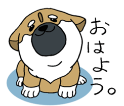 Shiba Inu baby. sticker #9834680