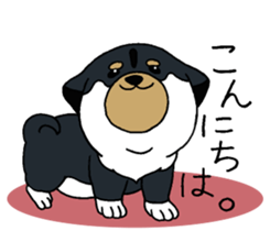 Shiba Inu baby. sticker #9834681