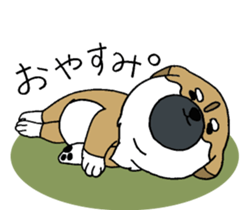 Shiba Inu baby. sticker #9834682