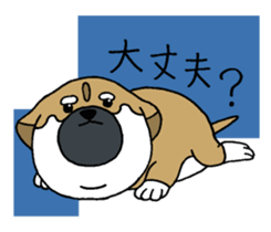 Shiba Inu baby. sticker #9834684