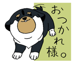 Shiba Inu baby. sticker #9834685