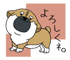 Shiba Inu baby. sticker #9834686