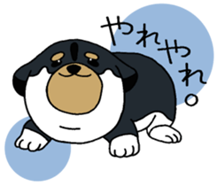 Shiba Inu baby. sticker #9834689