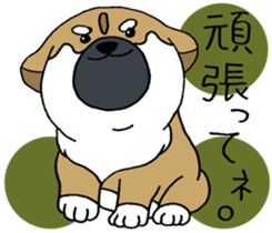 Shiba Inu baby. sticker #9834690