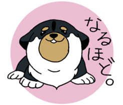 Shiba Inu baby. sticker #9834691