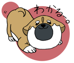 Shiba Inu baby. sticker #9834692