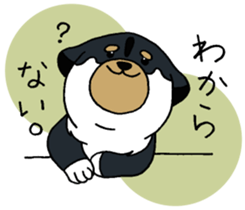 Shiba Inu baby. sticker #9834693