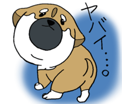 Shiba Inu baby. sticker #9834694