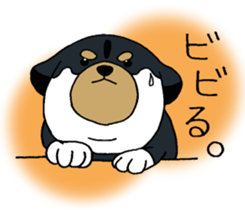 Shiba Inu baby. sticker #9834695