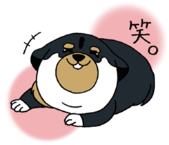 Shiba Inu baby. sticker #9834697