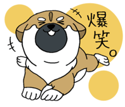 Shiba Inu baby. sticker #9834698