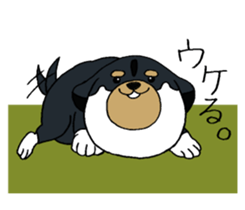 Shiba Inu baby. sticker #9834699