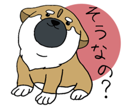 Shiba Inu baby. sticker #9834702