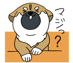 Shiba Inu baby. sticker #9834704