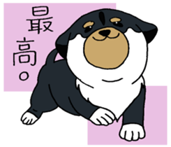 Shiba Inu baby. sticker #9834707