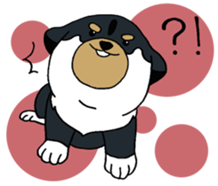 Shiba Inu baby. sticker #9834709