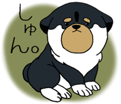 Shiba Inu baby. sticker #9834711