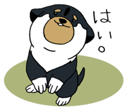 Shiba Inu baby. sticker #9834713