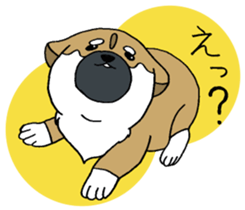 Shiba Inu baby. sticker #9834714