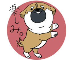 Shiba Inu baby. sticker #9834716