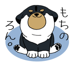 Shiba Inu baby. sticker #9834717