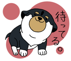 Shiba Inu baby. sticker #9834719