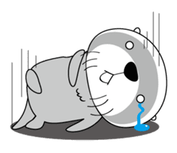 Every day of Sea otter(ver. My favorite) sticker #9837062