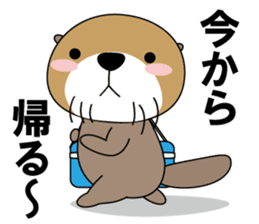 Every day of Sea otter(ver. My favorite) sticker #9837089