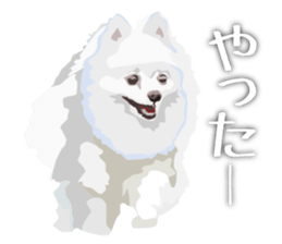 Familiar animals sticker #9838645